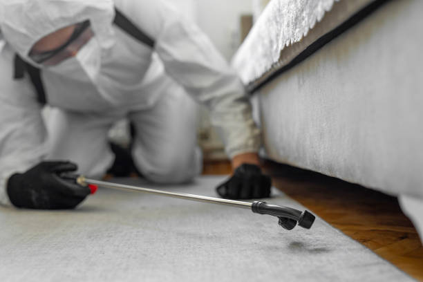 Professional Bed Bug Control technician working in Red Lake, MN