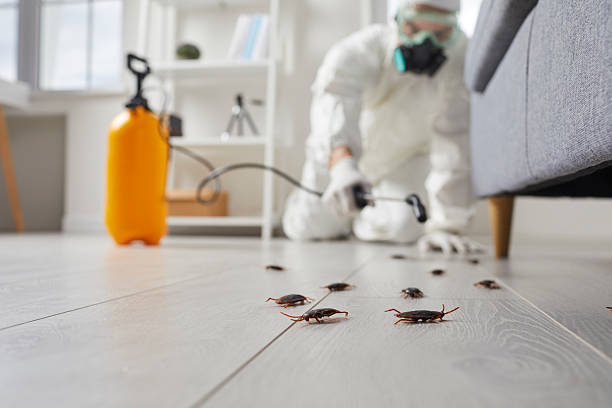 Trusted Termite Control service in Red Lake, MN - Nex Pest Control