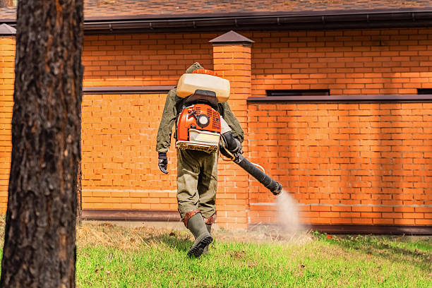 Trusted Emergency Pest Control service in Red Lake, MN - Nex Pest Control